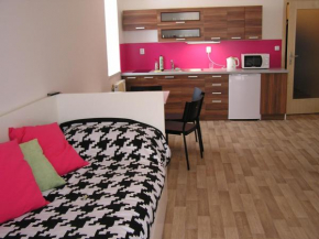 Гостиница Apartment Třeboň  Требон